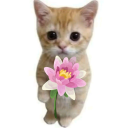 damaskrosewhispers avatar