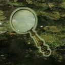 damn-drama-investigator avatar