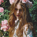 damn-flower-blog avatar