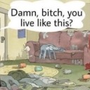 damnbitchiwanttolivelikethis avatar
