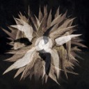 damned-desperados avatar