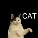 damniturogeru avatar