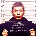 damon-elena-loves avatar