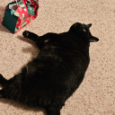 damonangel04-blog avatar