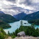 dampchilloverthegrounds avatar