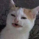 dampen-my-tired-eyes avatar