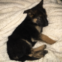 damsel-n-diss-dress-blog avatar