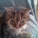 dana-riley8966 avatar