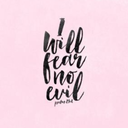 danaflywithme avatar