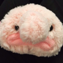 danandphilsduvet avatar