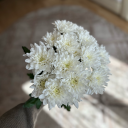 danareysoon-blog avatar