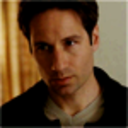 danasfox-blog avatar