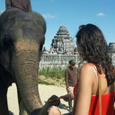 danceiswhatifeel avatar