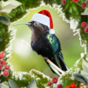 dancerinthestorm avatar