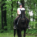 dances-with-hooves avatar