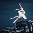 danceswithdancy avatar