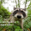 dancet1lly0uredead avatar