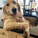 dancing--queenn avatar