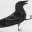 dancing-crow avatar