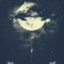 dancing-in-thesnow avatar