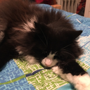 dancing-to-my-own-beat avatar