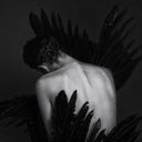 dancing-with-death avatar