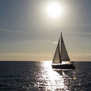 dancinggrandmas avatar