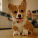 dancinginthedark98 avatar