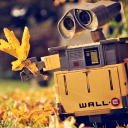 dancingleaves avatar