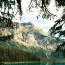 dancingonmoonlight avatar