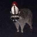 dancingqwueen avatar