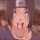 dancingturtle1 avatar