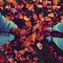 dancingwiththewildfire-blog avatar