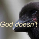 dandal-netero avatar