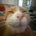 dandelion-hands-blog avatar