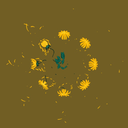 dandelion-petals avatar