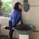 dandelion-wine avatar