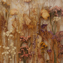 dandelionbrezee avatar