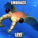 dandelioncrow avatar