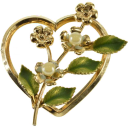 dandelionfield avatar