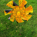 dandelionfunky avatar