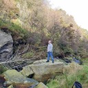 dandelionsandcacti avatar