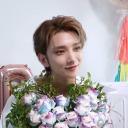 dandelionshua avatar