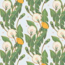 dandelionsoda avatar