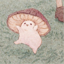 dandelionsstorm avatar