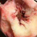 dandelynnnie116 avatar