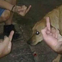 dandy-tragedy avatar