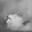 dangerbird-blog avatar