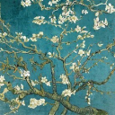 dangerous-to-dreamm avatar