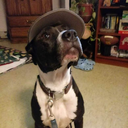 dangerouscollectiongarden-world avatar